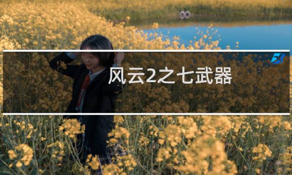 风云2之七武器 攻略