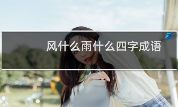 风什么雨什么四字成语