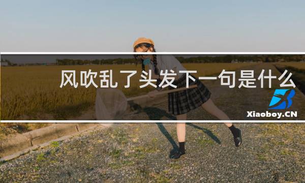 风吹乱了头发下一句是什么