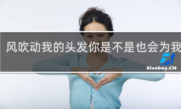 风吹动我的头发你是不是也会为我心动