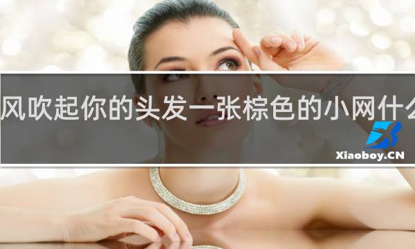 风吹起你的头发一张棕色的小网什么意思