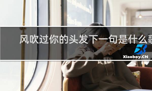 风吹过你的头发下一句是什么歌
