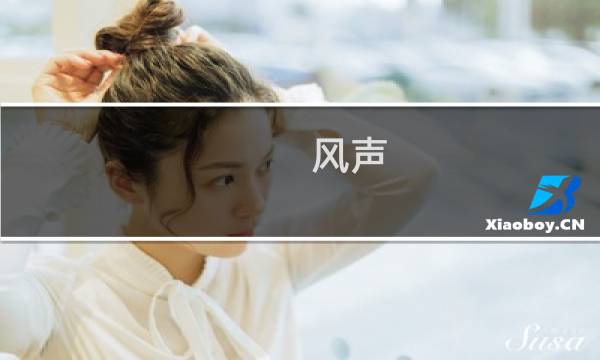 风声 人物攻略
