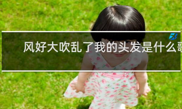风好大吹乱了我的头发是什么歌