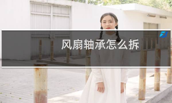 风扇轴承怎么拆