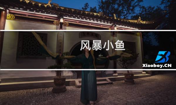 风暴小鱼 攻略