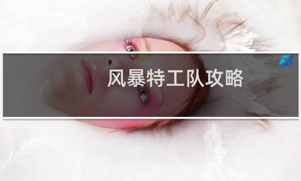 风暴特工队攻略