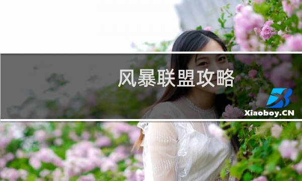 风暴联盟攻略