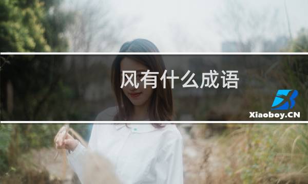 风有什么成语