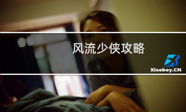 风流少侠攻略