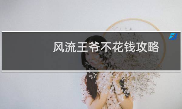 风流王爷不花钱攻略