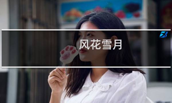 风花雪月 攻略本