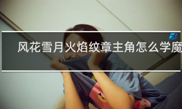 风花雪月火焰纹章主角怎么学魔法