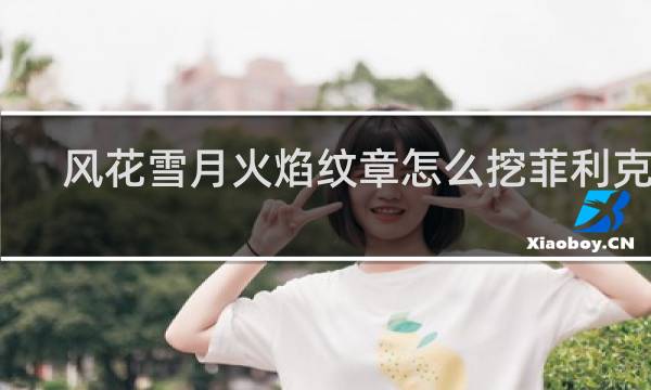 风花雪月火焰纹章怎么挖菲利克斯