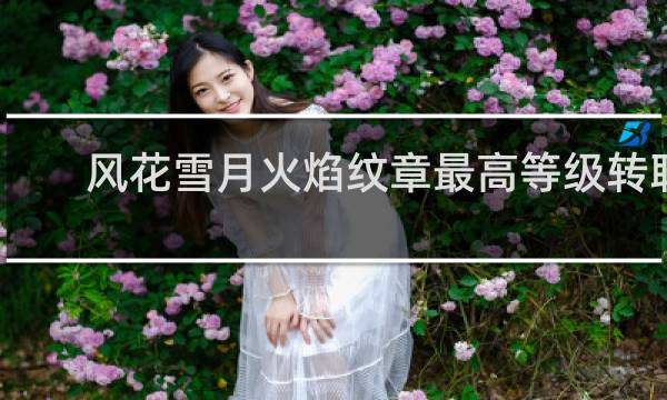 风花雪月火焰纹章最高等级转职