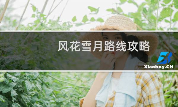风花雪月路线攻略