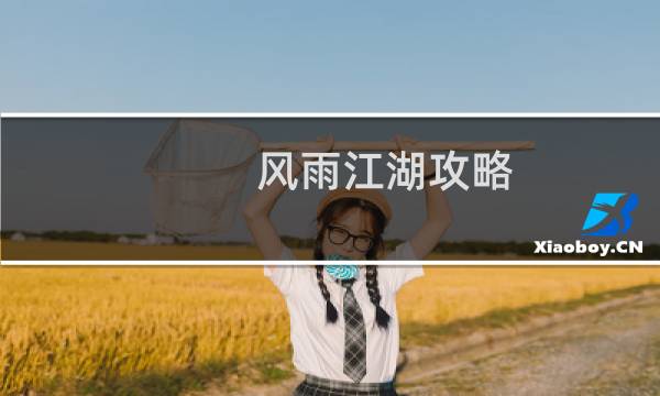风雨江湖攻略
