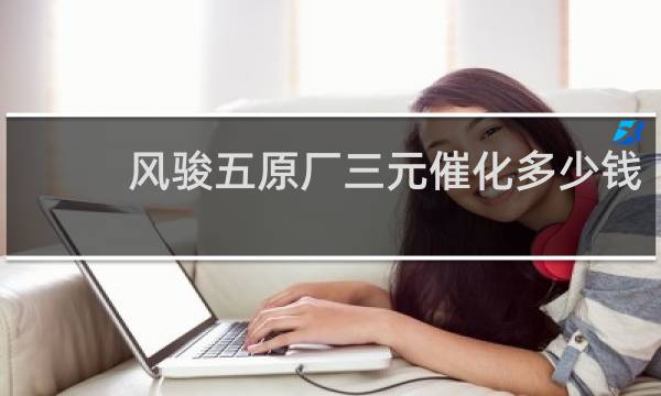 风骏五原厂三元催化多少钱