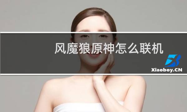 风魔狼原神怎么联机