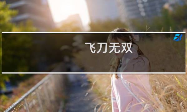 飞刀无双 攻略