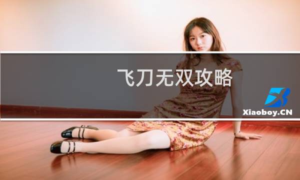 飞刀无双攻略