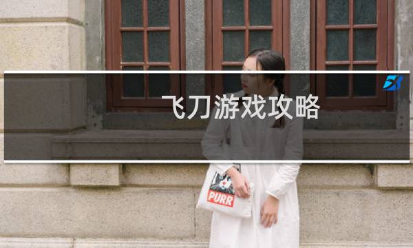 飞刀游戏攻略
