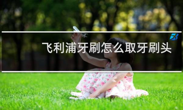 飞利浦牙刷怎么取牙刷头