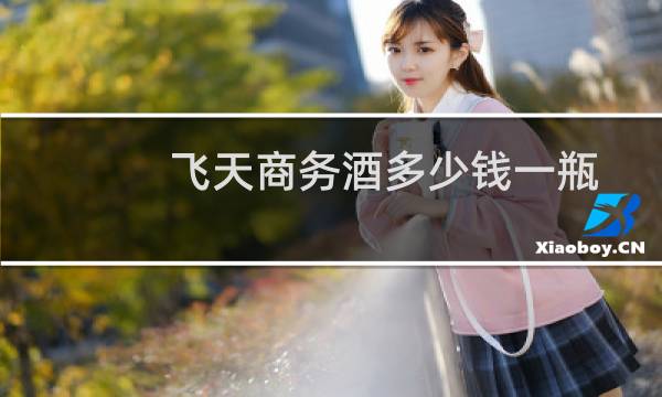 飞天商务酒多少钱一瓶