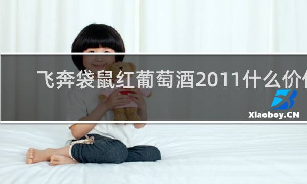 飞奔袋鼠红葡萄酒2011什么价位