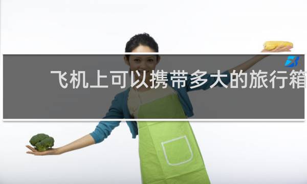 飞机上可以携带多大的旅行箱