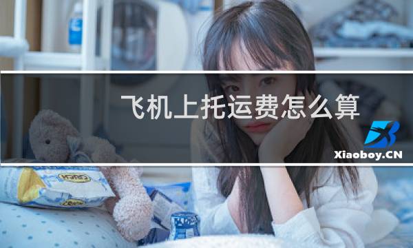 飞机上托运费怎么算