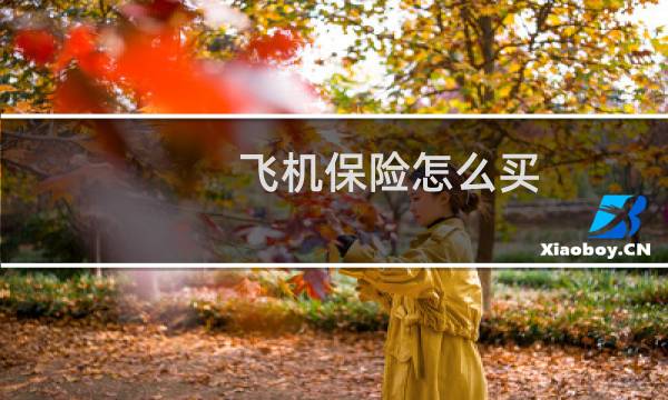 飞机保险怎么买