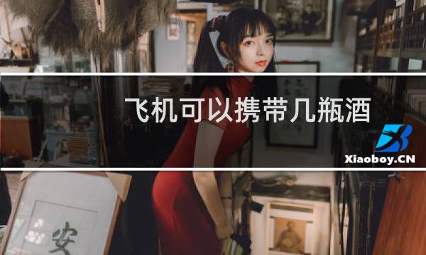 飞机可以携带几瓶酒