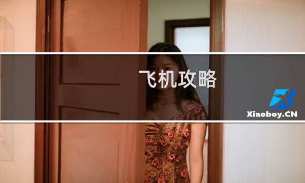 飞机攻略