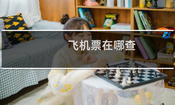 飞机票在哪查