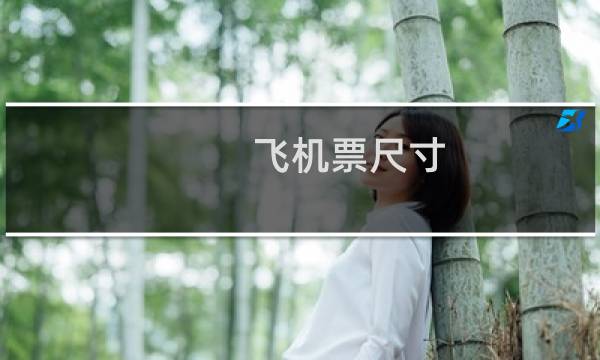 飞机票尺寸