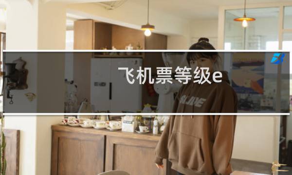 飞机票等级e