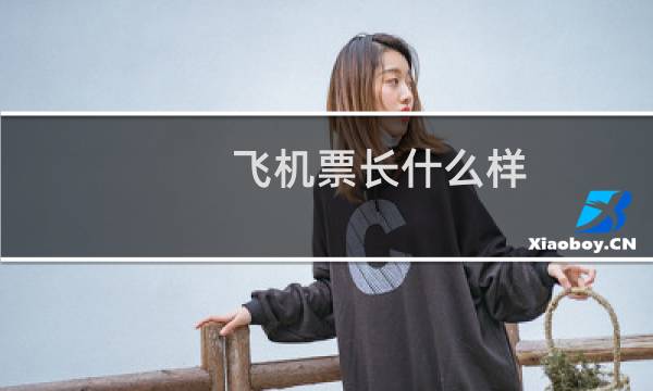 飞机票长什么样