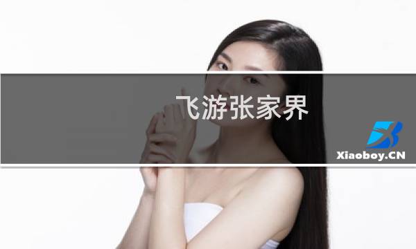 飛游張家界