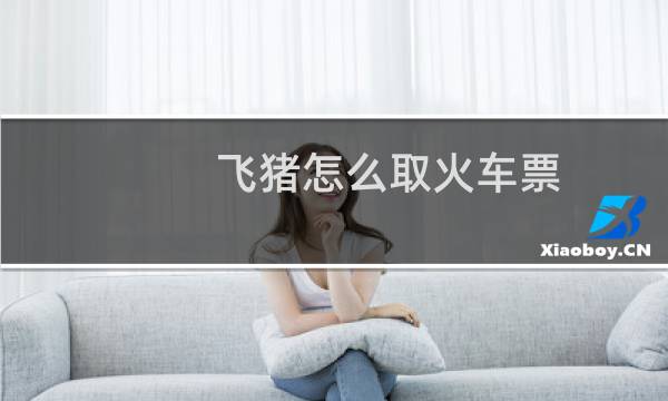 飞猪怎么取火车票
