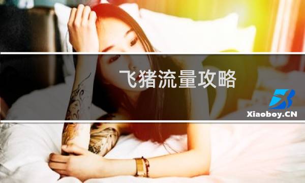 飞猪流量攻略
