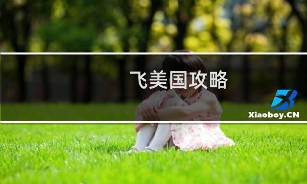 飞美国攻略