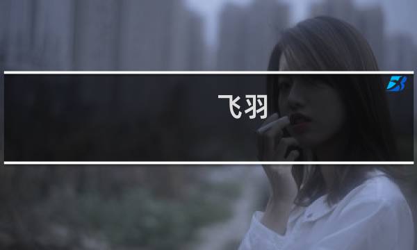 飞羽 最终幻想