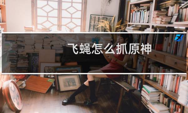 飞蝇怎么抓原神