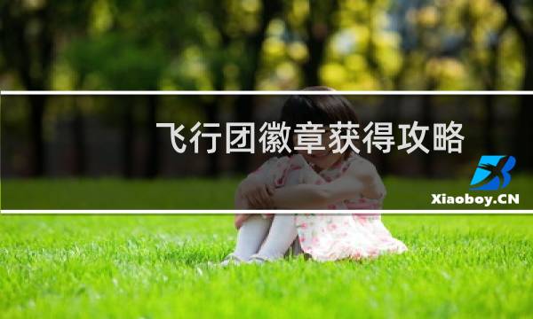 飞行团徽章获得攻略