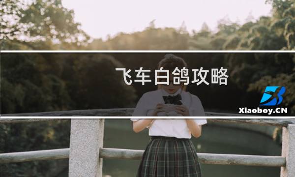 飞车白鸽攻略