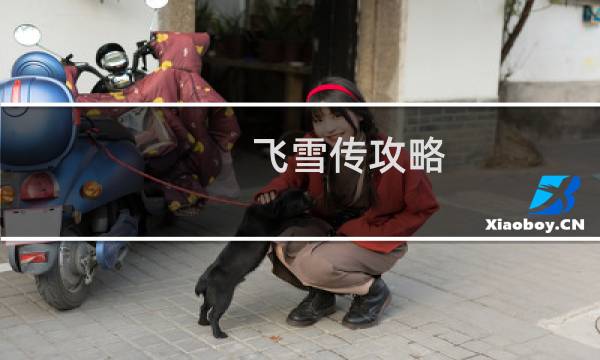 飞雪传攻略