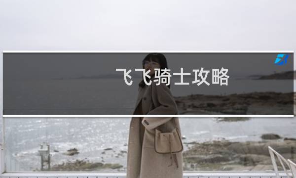 飞飞骑士攻略