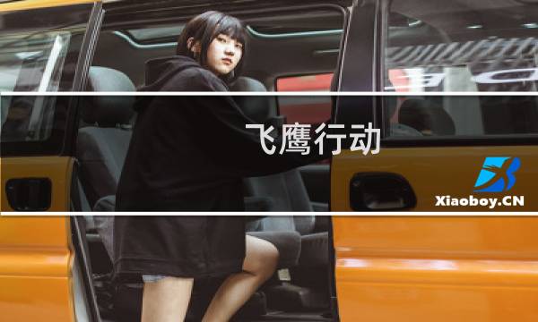 飞鹰行动 攻略