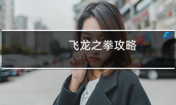 飞龙之拳攻略